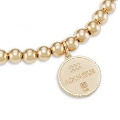 Sydney Evan 14K Yellow Gold & Diamond Aquarius Medallion Bracelet -Sydney Evan Online Shop unnamed file 254